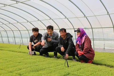 科技助農促增收——新興鎮農業技術人員下鄉指導紀實